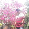 Tasim