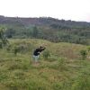 Muhamad Miptahudin