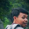 Fir Dan