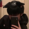 kucing tersesat