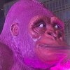 Kong Ho Man
