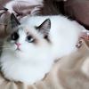 Fiona