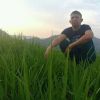 Wawan Gunawan