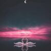 潮 流 教 母 A K A 赵 丽 蓉