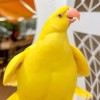 吉利瓜瓜