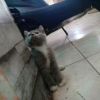 Melly'na Maleeka Abigail