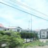 Elly