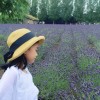SumYi