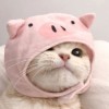 大笨🐷你楸啥呢～