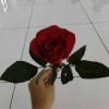 Benny Steven Muljoto