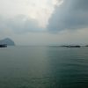 邹碧莲