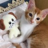 小呆貓🐱💕