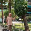 Hayati Nupus