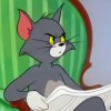 Tom Cat