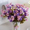 lovely daisy