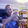 Bruce Lee 無良