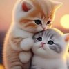 หนุ่มใต้ พลั่ดถิ่น