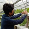 £arhan｡^‿^｡
