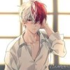 shoto todoroki