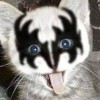 shiroyasha