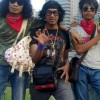 hari kansi 