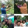 Siti Umaroh Umaroh