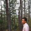 Wahyu Ardill