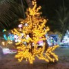 andriy6102