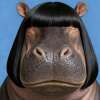 Pigsy Kridsataporn