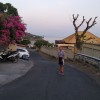 Epidaily