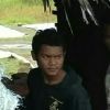 Rifkie