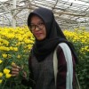 devita
