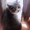 学人精真讨厌