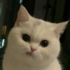 พลอย
