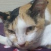 eka
