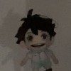 paphd_pin