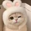 TOM