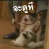 onyoura_slee
