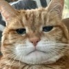 nnorworr