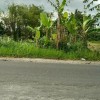 PeLoH