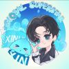 Pioneer XIN