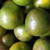 Baskoro