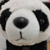 Aiu