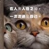 治愈音樂