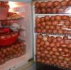 Ma Pong