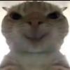 林
