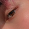 Honeybee_