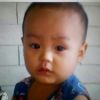 Bobi