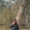 Sari Fajar