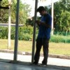 haris